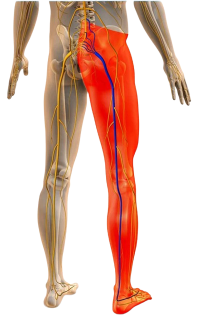 Chiropractor Balasaheb - Chiropractor in Mumbai
